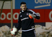 Бойко в стартовом составе Бешикташа на Кубок Турции