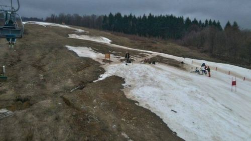 Лыжами по болоту: международные соревнования на Закарпатье
