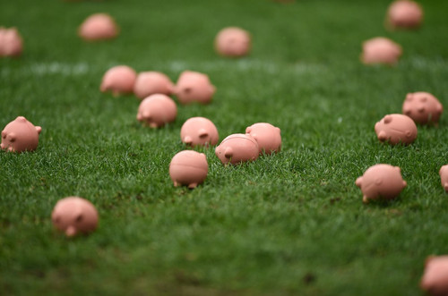 Английские фаны выбросили на поле пластмассовых свинок в знак протеста