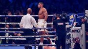 Джошуа готов отказаться от защиты титула IBF ради реванша с Кличко