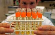 WADA отозвала аккредитации лабораторий в Алма-Аты и Блумфонтейне