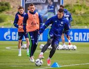 Коноплянка отметился голом за Шальке