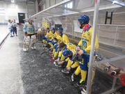 Спонсором збірної України з хокею з м’ячем став острів у Фінляндії