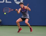 Известны соперники сборных Украины в Кубке Федерации и Кубке Дэвиса