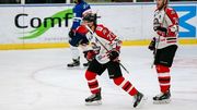 Игорь ШАМАНСКИЙ: «Пропустили два гола из-за глупых ошибок»