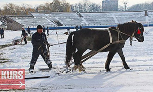 ФОТО ДНЯ:Уборка снега на стадионе в Ивано-Франковске с помощью лошадей