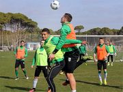 Карпаты начали второй сбор