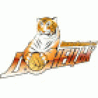 Донецк возвращается в элиту