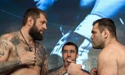 Емельяненко нокаутировал Гонзагу. Полное видео боя