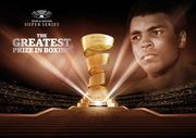 Второй сезон WBSS пройдет в трех весовых категориях