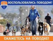 Болельщики Зари достойно ответили вице-президенту Мариуполя