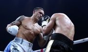 Усик может провести бой с Бриедисом 20 января в Риге