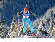 Война за сайт Федерации биатлона Украины: ресурс приостановил работу