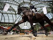 16 марта в Париже стартуют соревнования по конкуру CSI5* Saut Hermes
