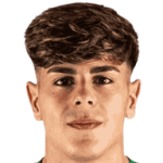 Адриан Пика