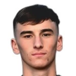 Ніколай Мікаллеф