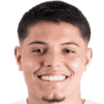 Лука Мейреллиш