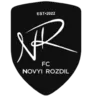Новий Розділ