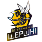 Шершни